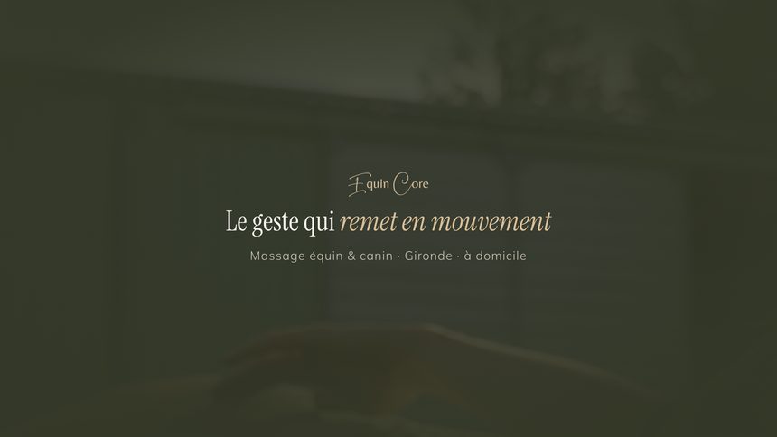 Bannière secondaire Equin Core