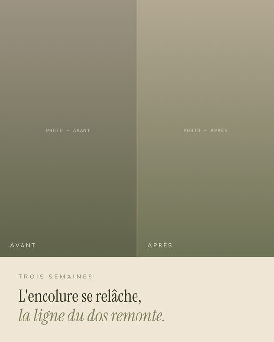 Template avant / après Equin Core