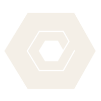 Logo EXOD
